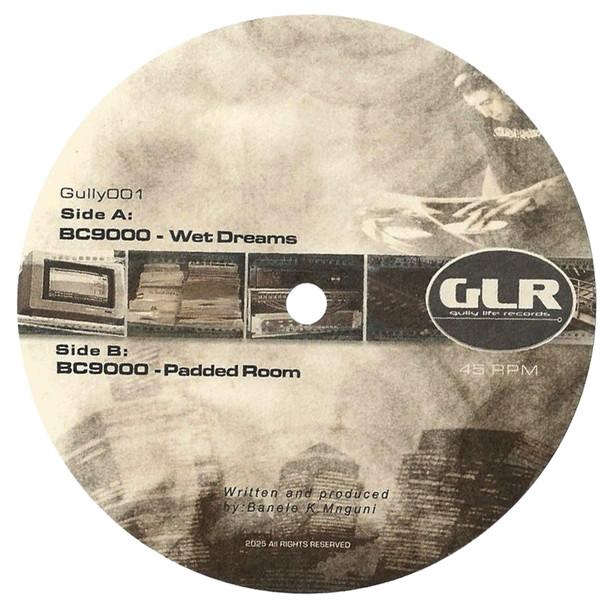 BC9000 - Padded Room / Wet Dreams