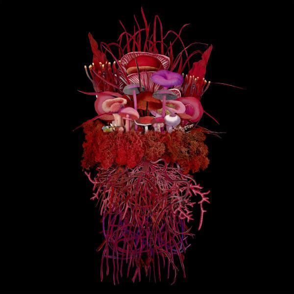 Brian D'Souza, Or:la - Mycorrhizal Fungi