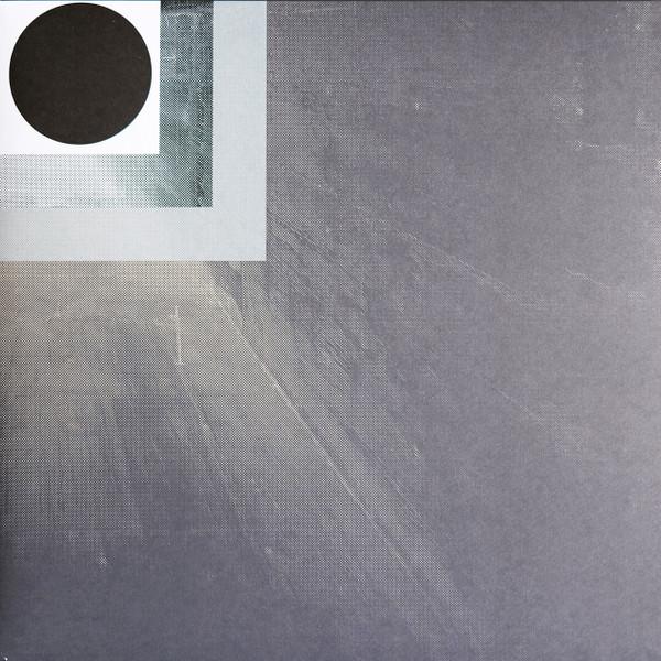 Conna Haraway - Shifted