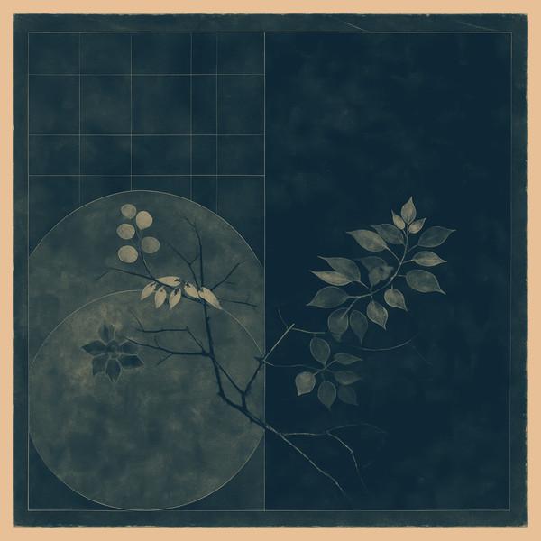 Flabaire, Paul Cut - Transnationality