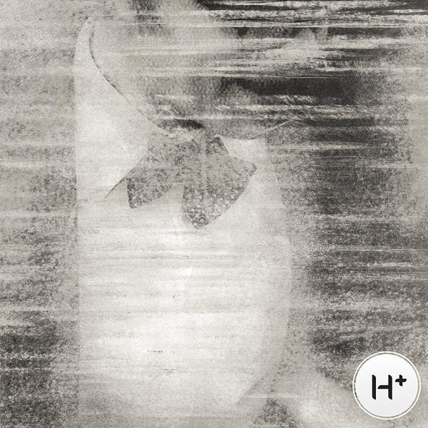 Hamid - HPLS 001