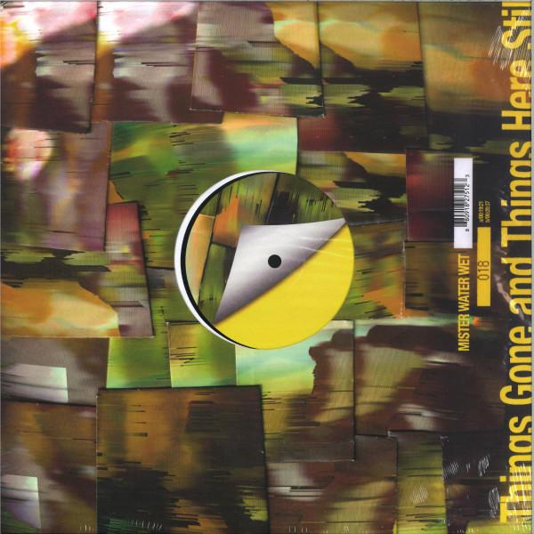 Mister Water Wet - Things Gone and Things Here Still