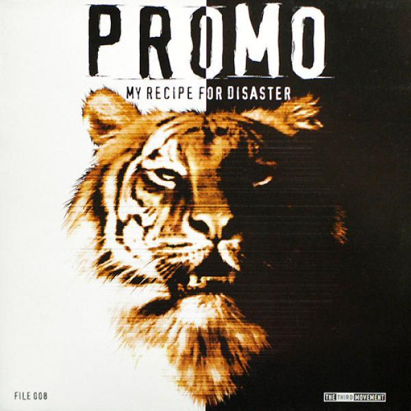 Promo - My Recipe For Disaster