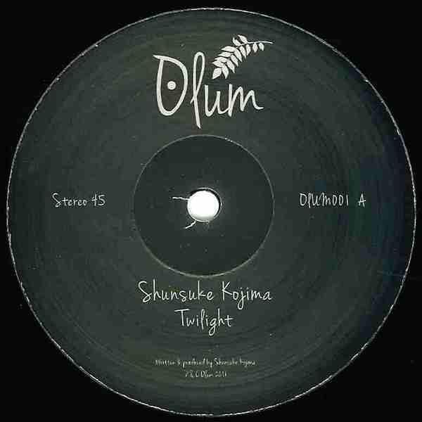 Shunsuke Kojima - Twilight