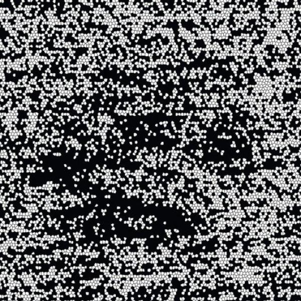Shxcxchcxsh - NMHNMHNMNMH
