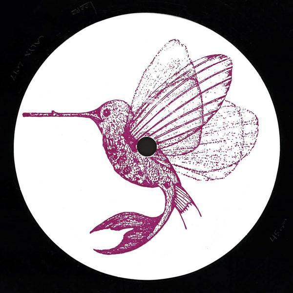 Steffi  - Waking States